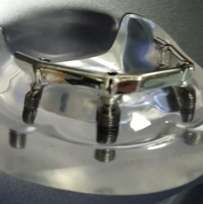 Dental Implant Bar Educational Model