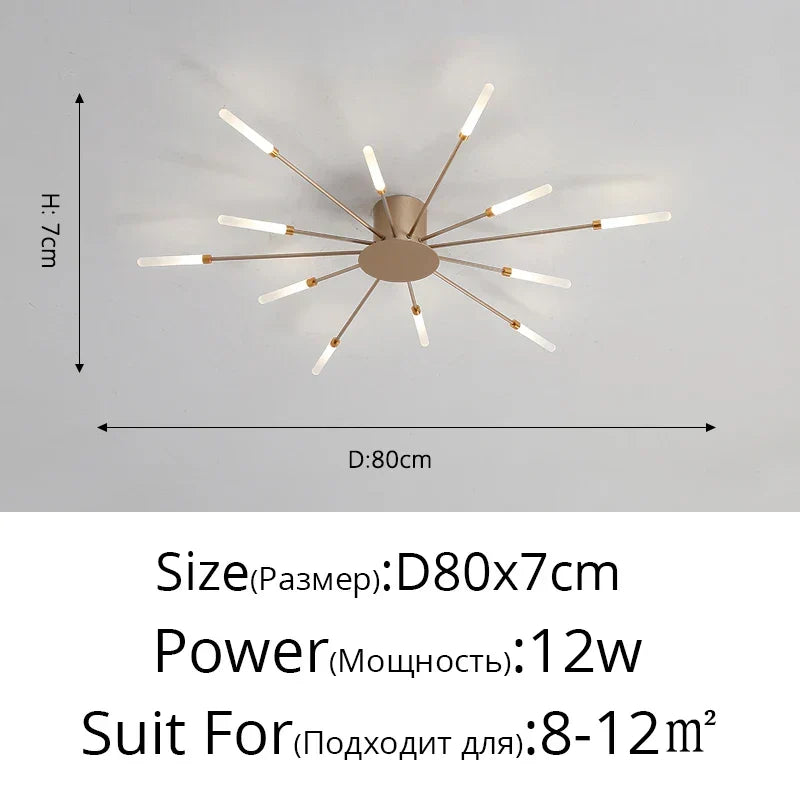 Acrylic Modern Ceiling Light