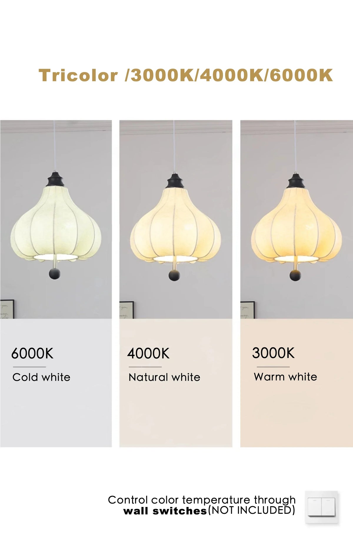 LED Modern Pendant Light