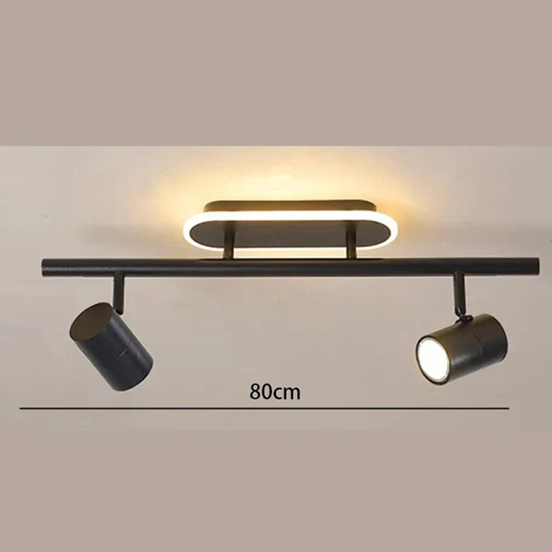 Gold Finish Ceiling Light