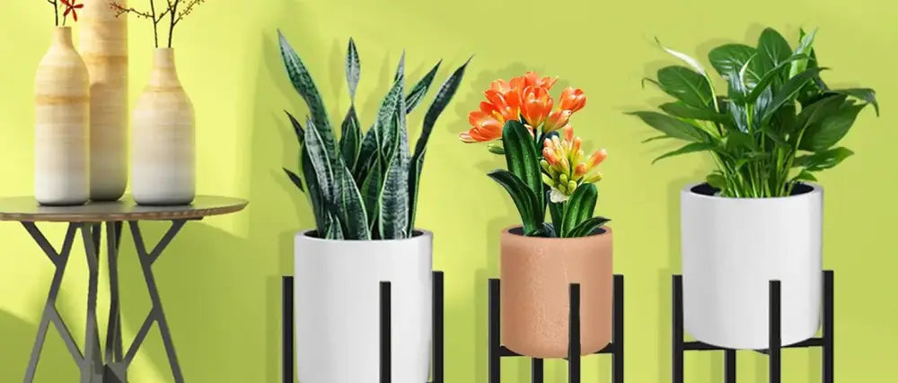 Adjustable Black Plant Stand