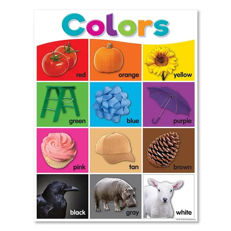 Alphabet Educational Poster