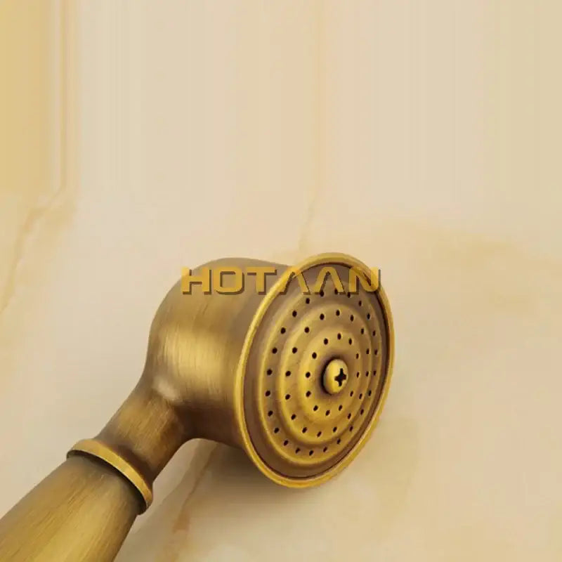 Brass Wood Grip Shower