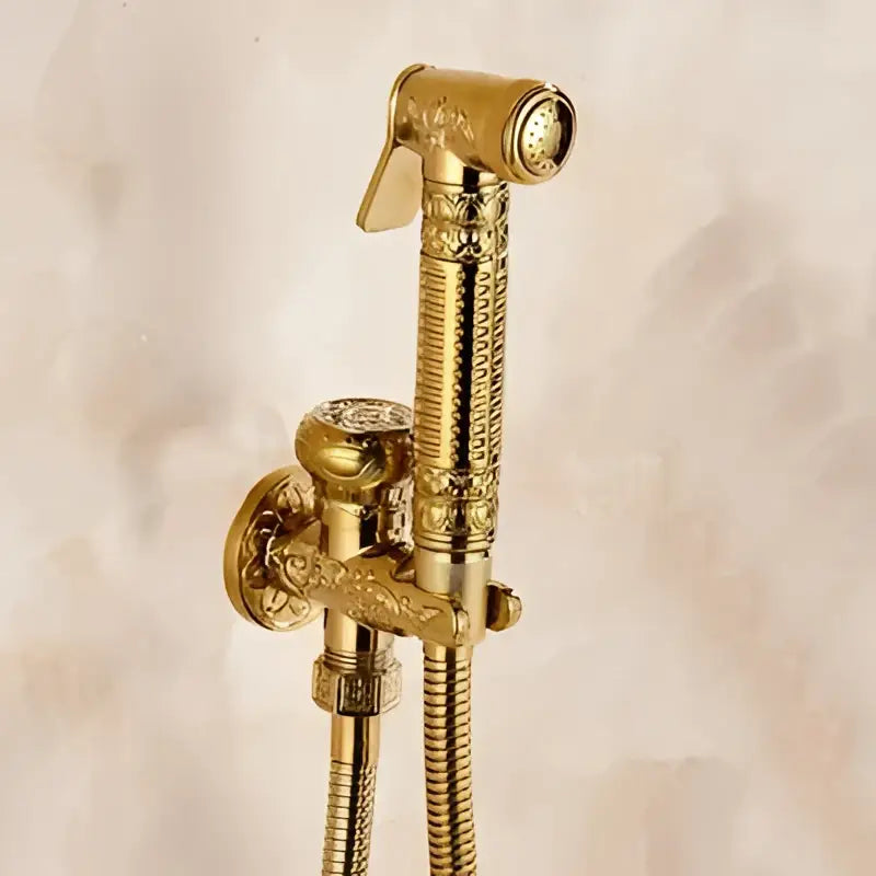 Antique Brass Bidet Shattaf