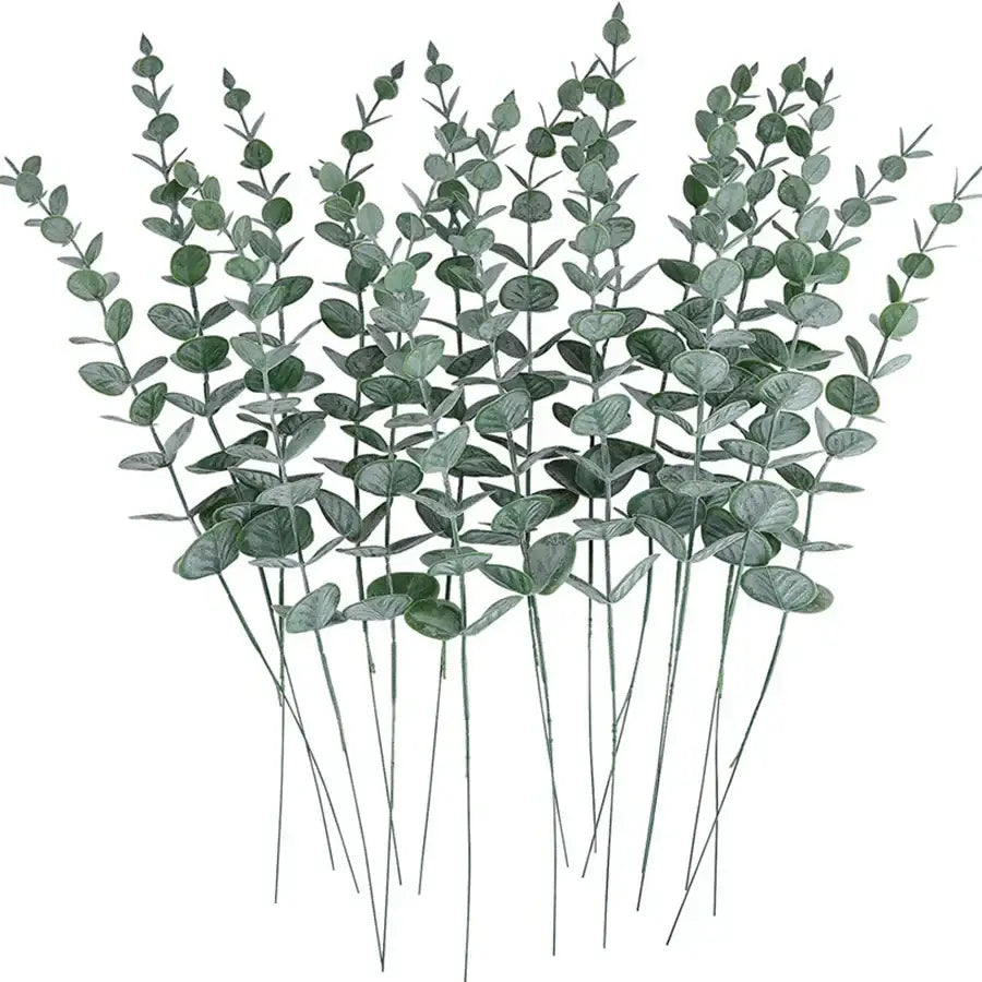 Green Eucalyptus Leaves Set