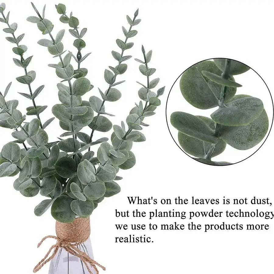 Green Eucalyptus Leaves Set