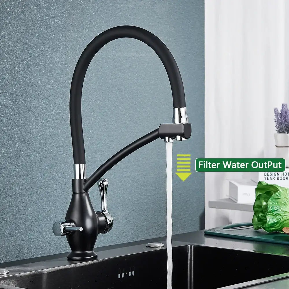 Chrome Dual Spout Faucet