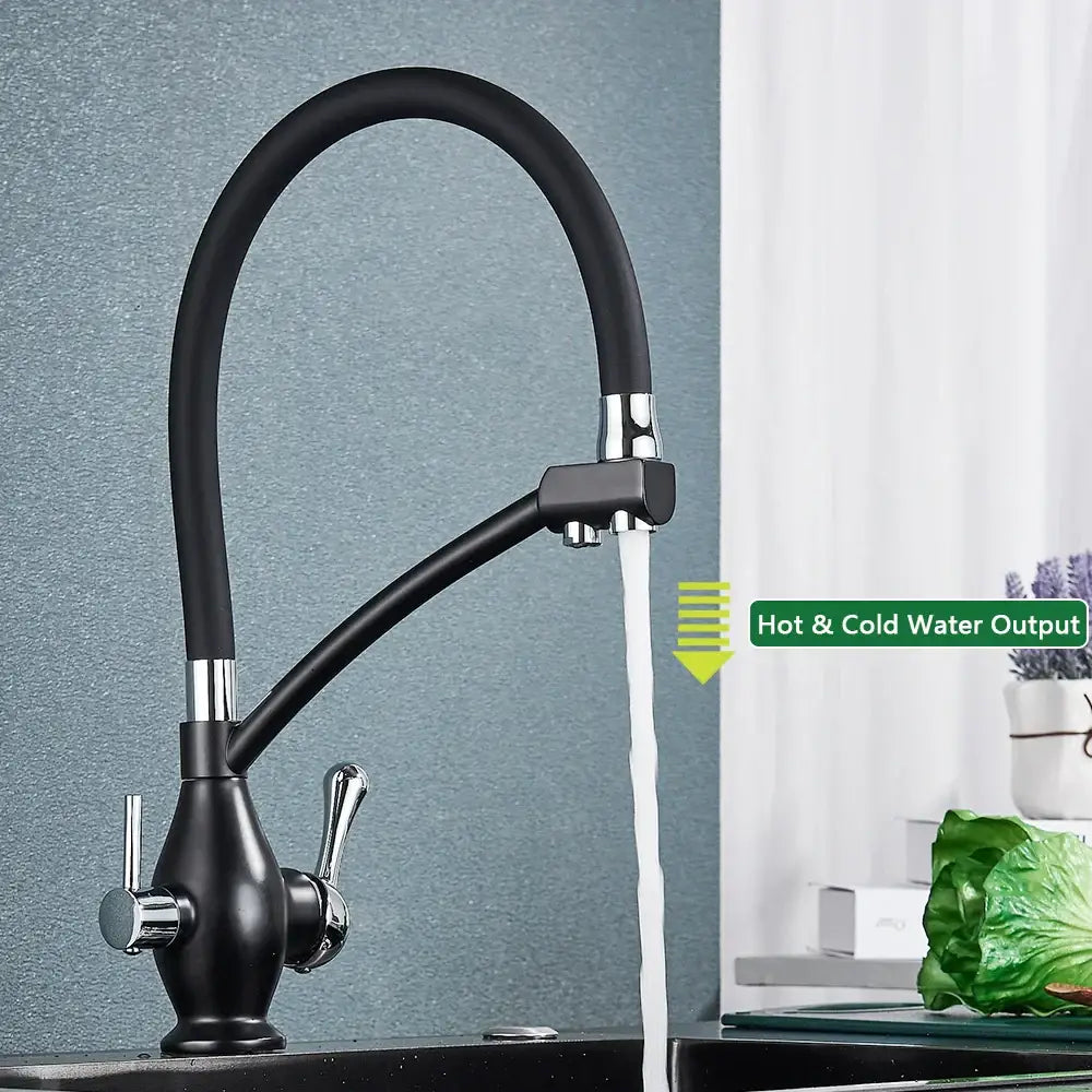 Chrome Dual Spout Faucet