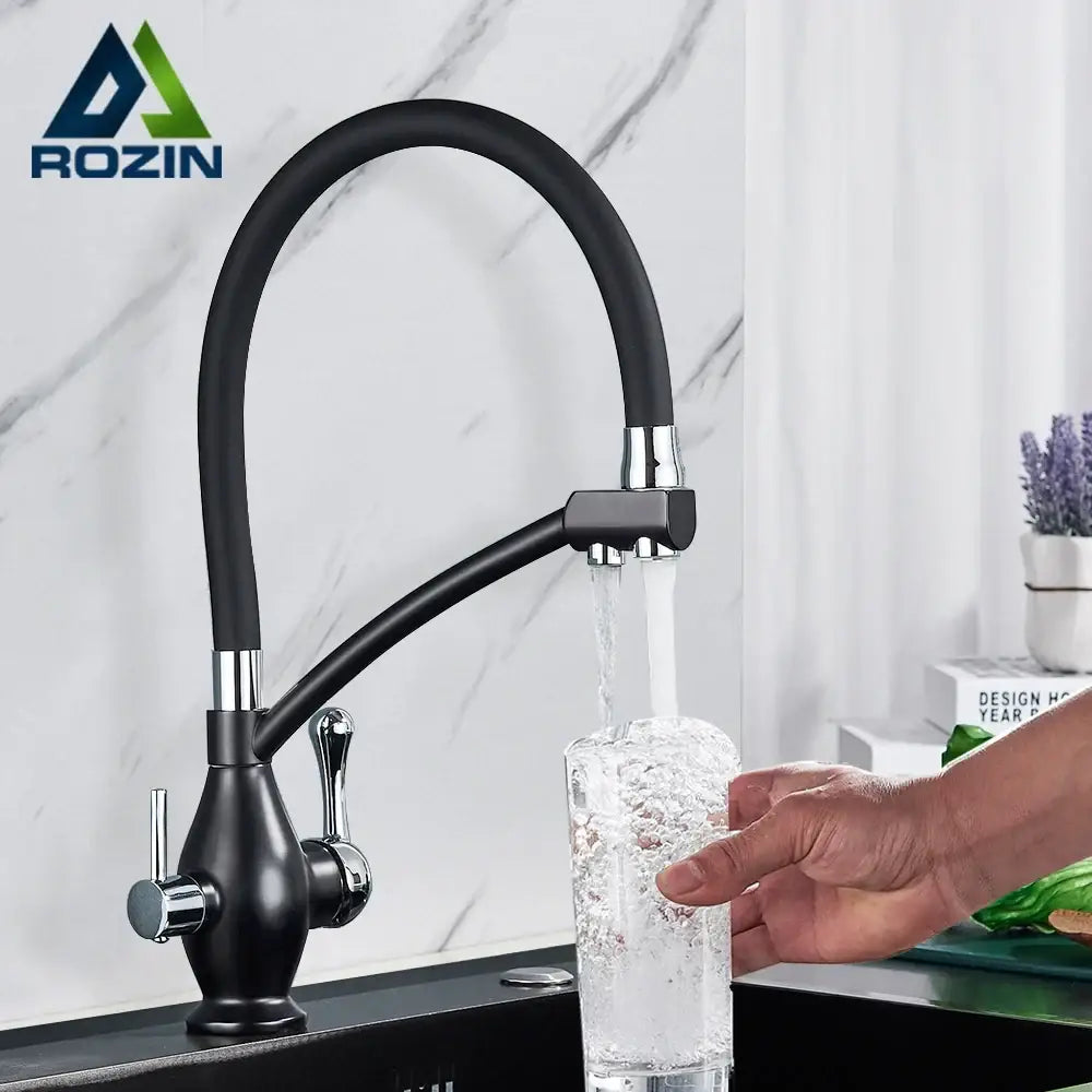 Chrome Dual Spout Faucet