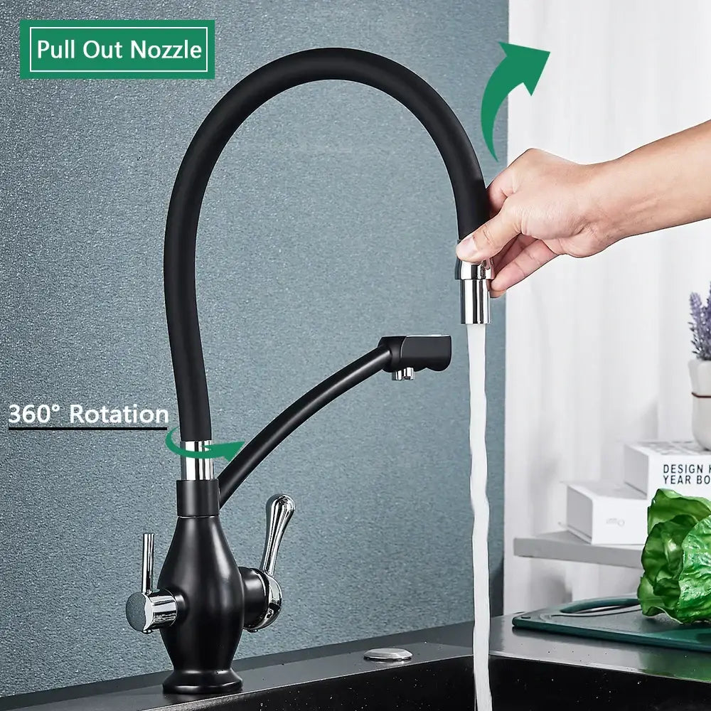 Chrome Dual Spout Faucet