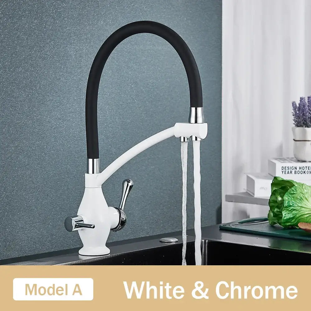 Chrome Dual Spout Faucet