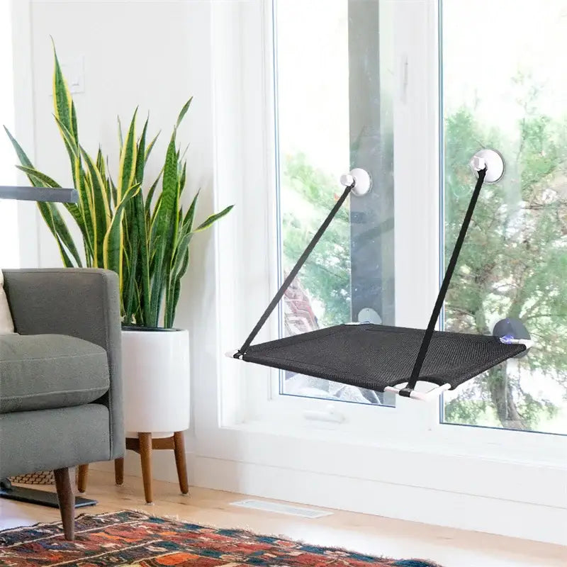 Black Cat Window Hammock