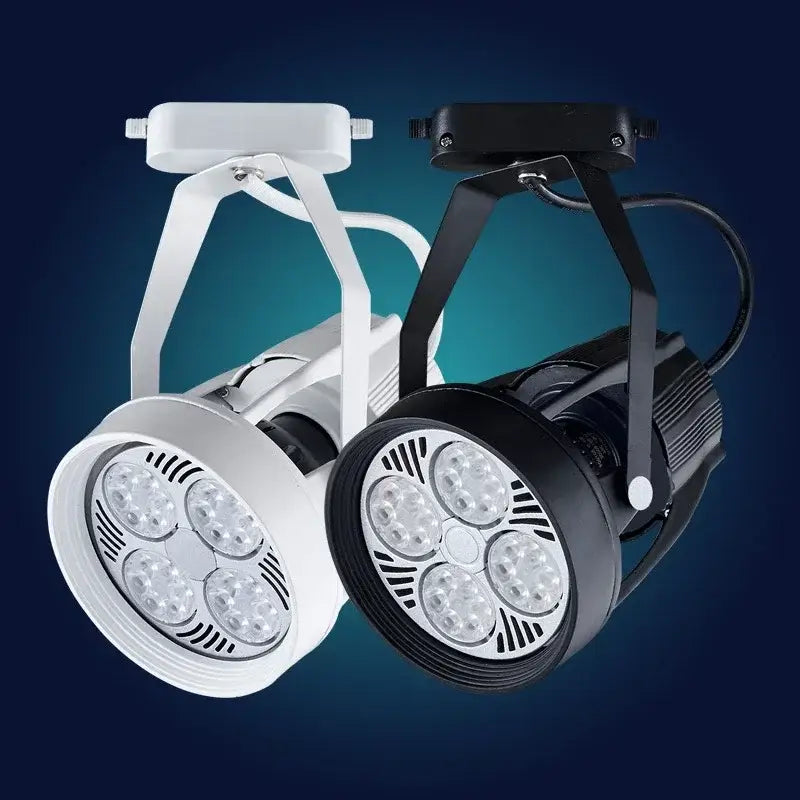 Black White 4-Light LED Ceiling Light