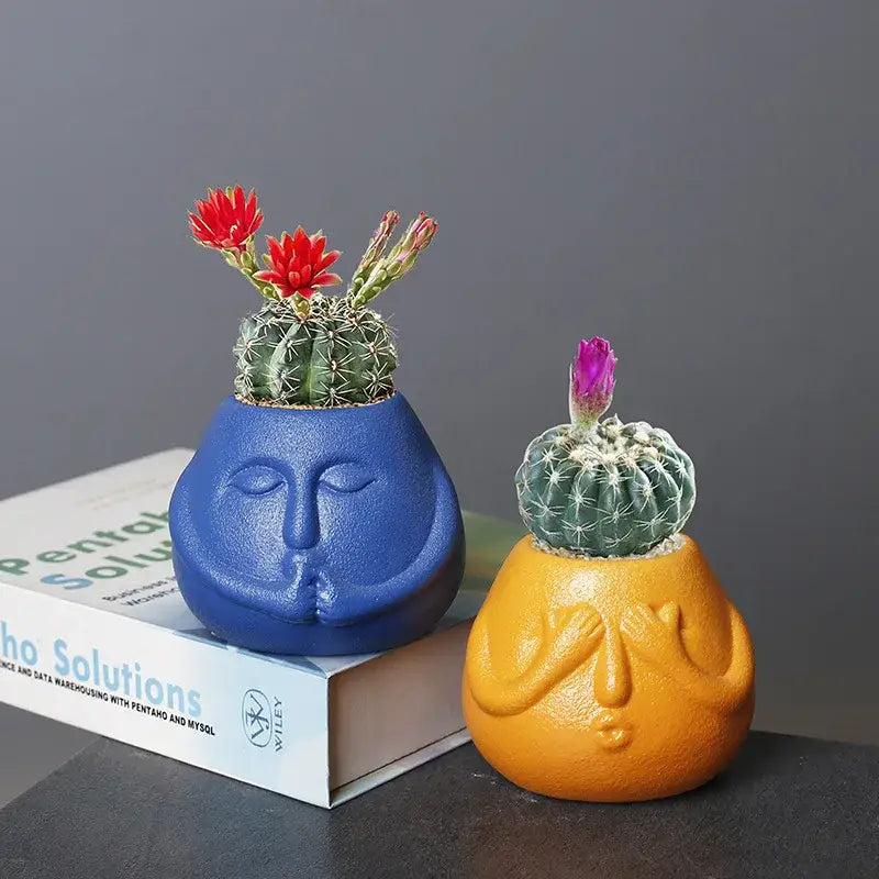 Blue Orange Face Planter