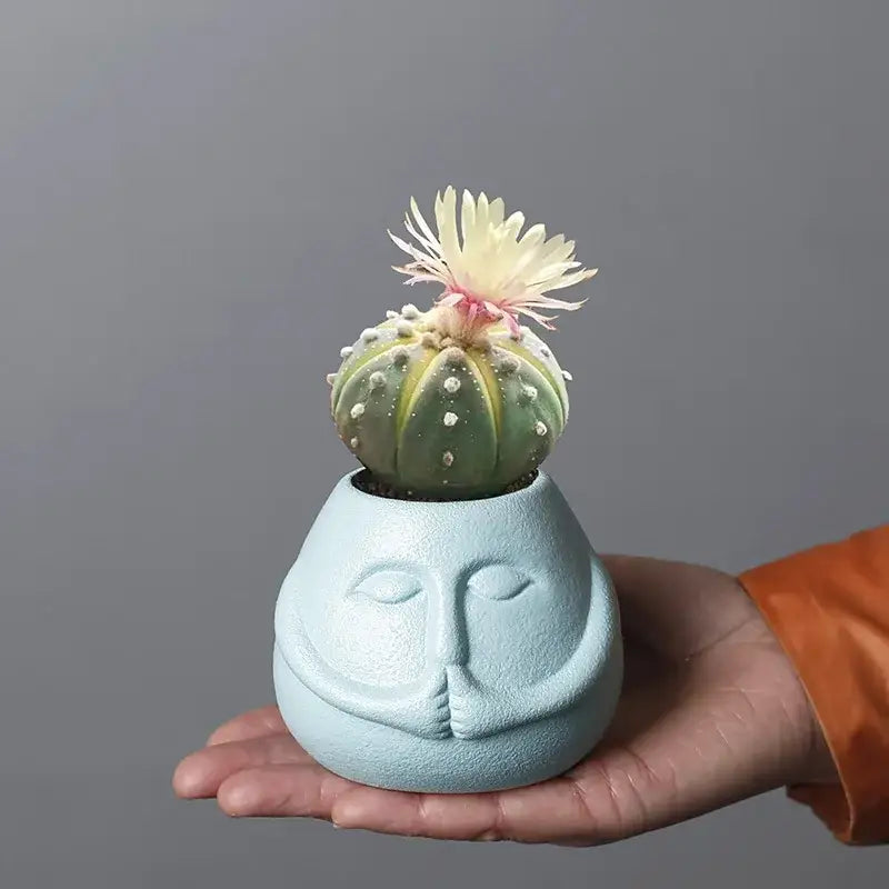Blue Orange Face Planter