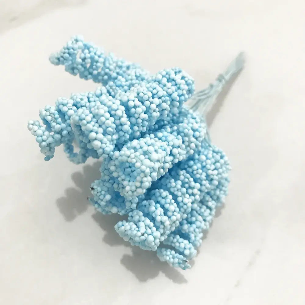 Blue Stamen Berry Bundle