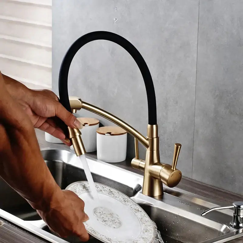 Brass Black Dual Spout Contemporary Faucet