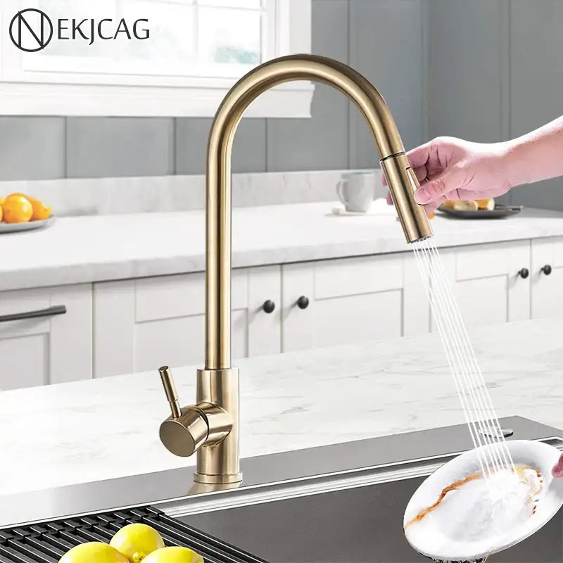 Brushed Gold High Arc Faucet