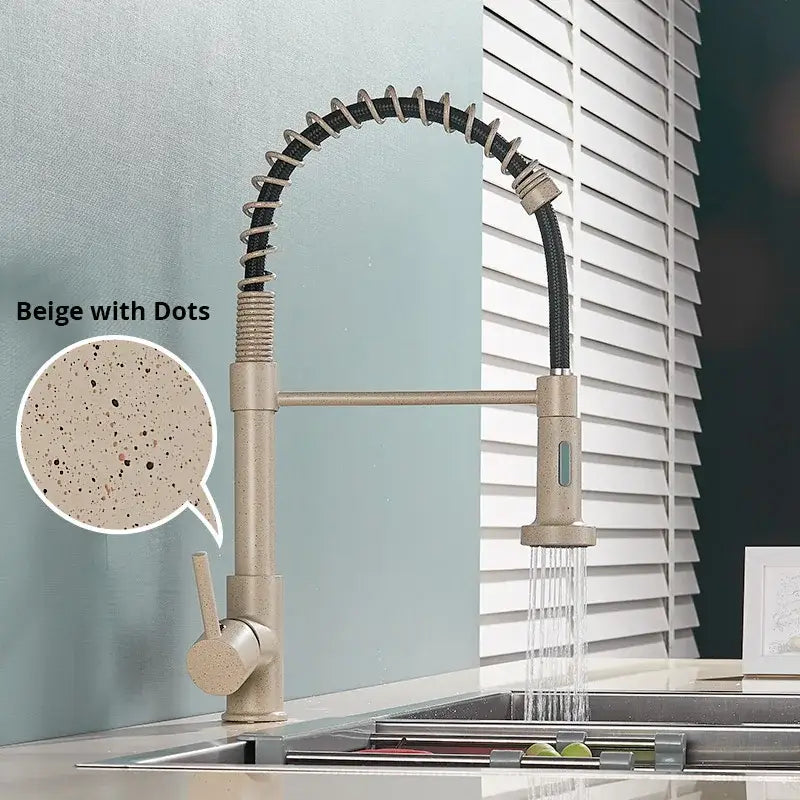 Nickel Spring Kitchen Faucet