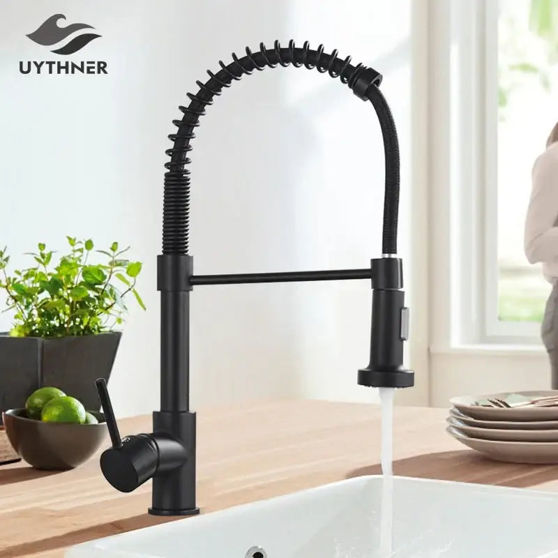 Nickel Spring Kitchen Faucet