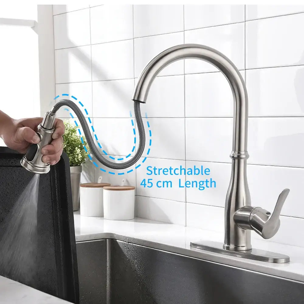 Nickel Single Handle Faucet