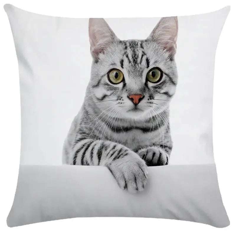 Black Cat Bubble Cushion Cover