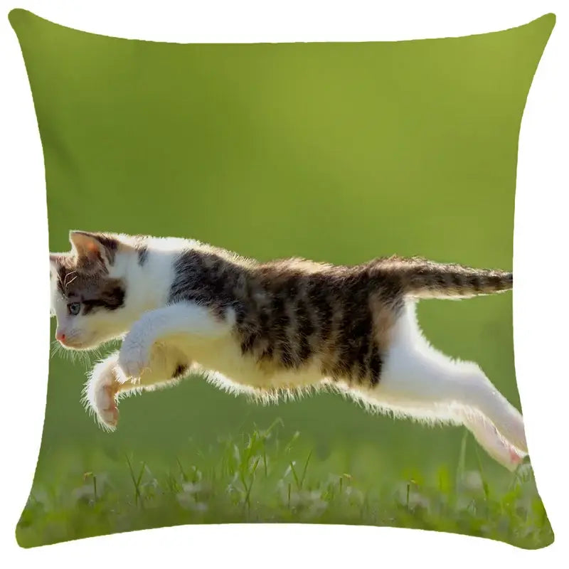 Black Cat Bubble Cushion Cover