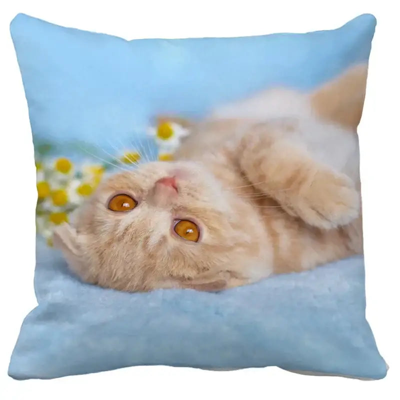 Black Cat Bubble Cushion Cover
