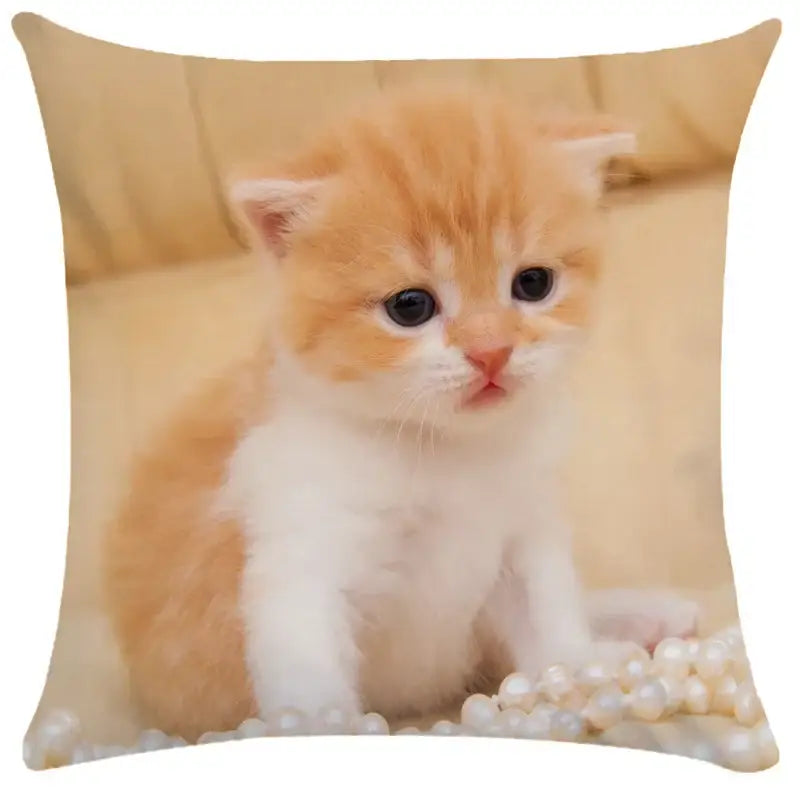Black Cat Bubble Cushion Cover