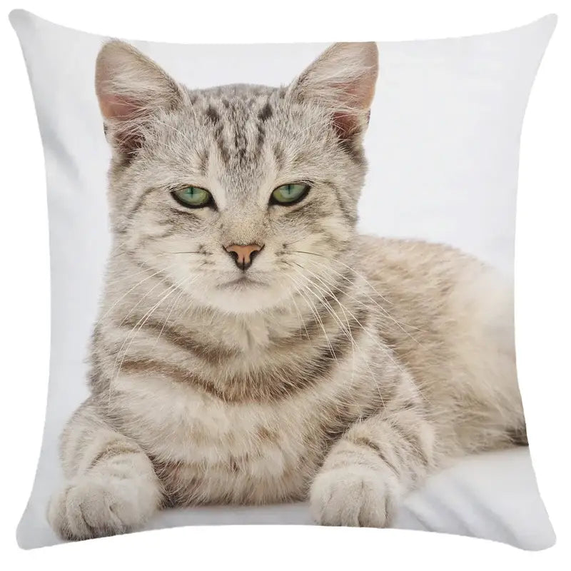 Black Cat Bubble Cushion Cover
