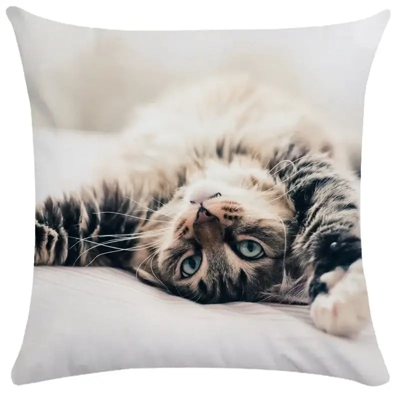 Black Cat Bubble Cushion Cover