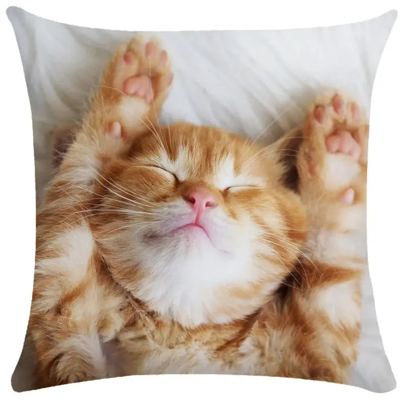 Black Cat Bubble Cushion Cover
