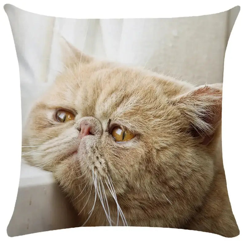 Black Cat Bubble Cushion Cover