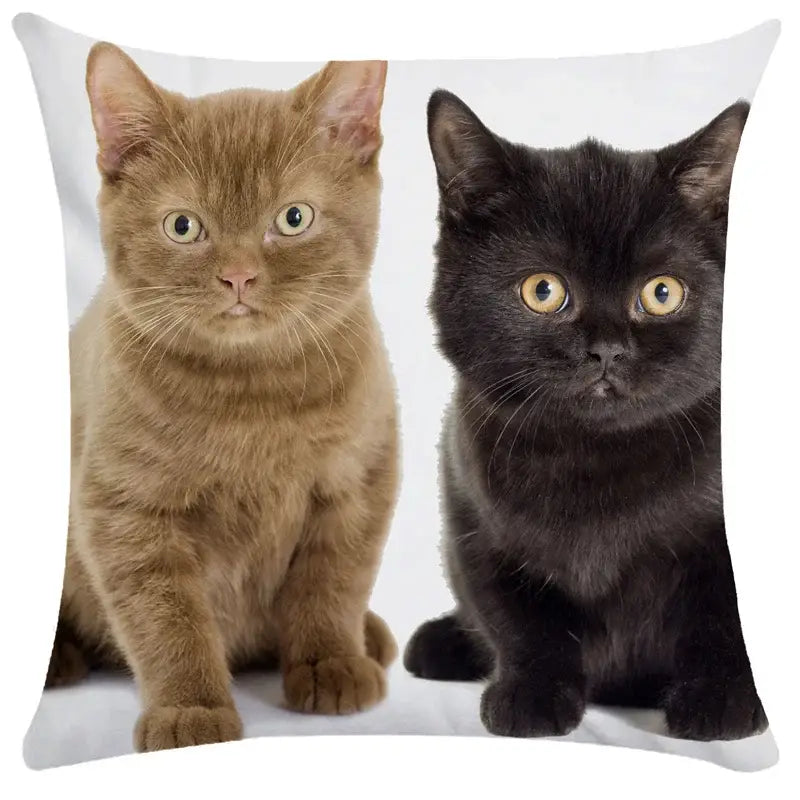 Black Cat Bubble Cushion Cover