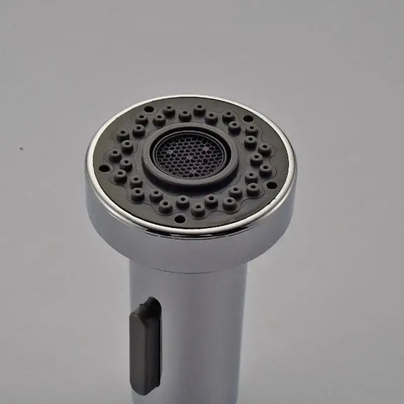 Chrome Sprayer Head Replacement