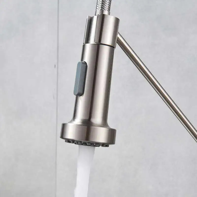 Chrome Sprayer Head Replacement