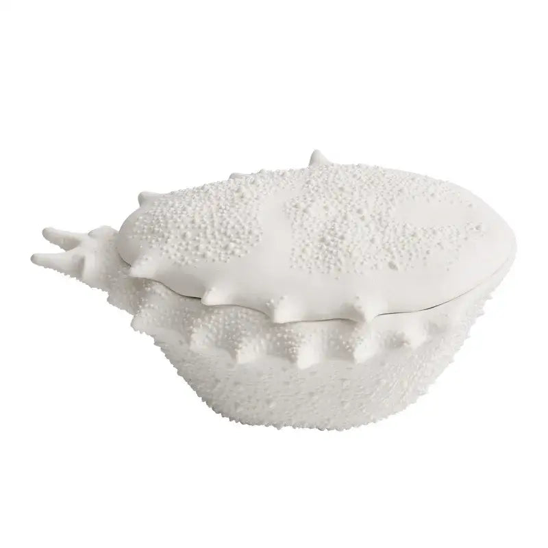 White Shell Ceramic Bowl