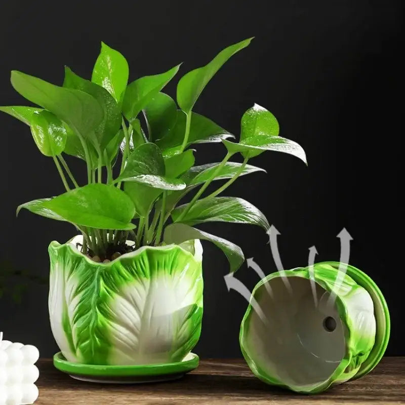 Ceramic Cabbage Flowerpot