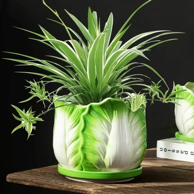 Ceramic Cabbage Flowerpot