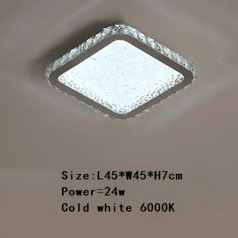 Crystal Frosted Ceiling Lamp