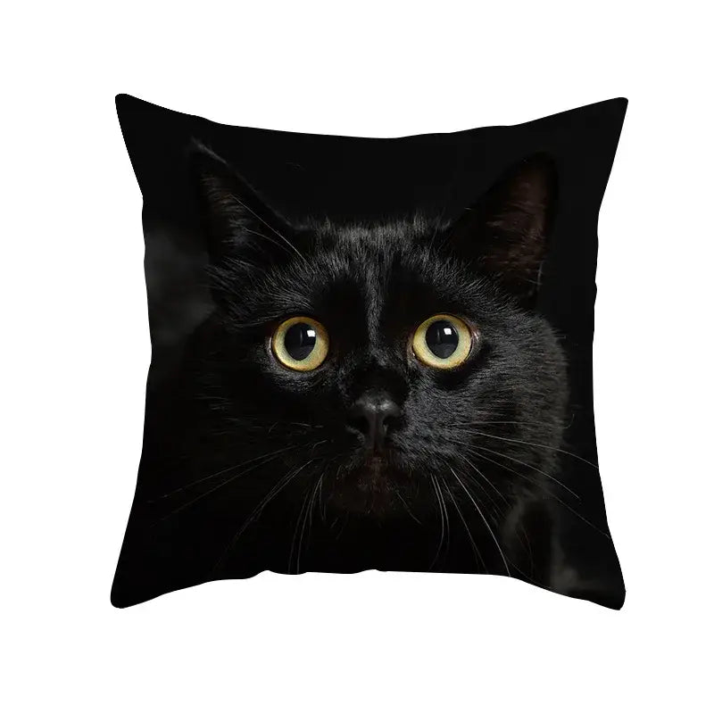 Black Cat Pillowcases Set