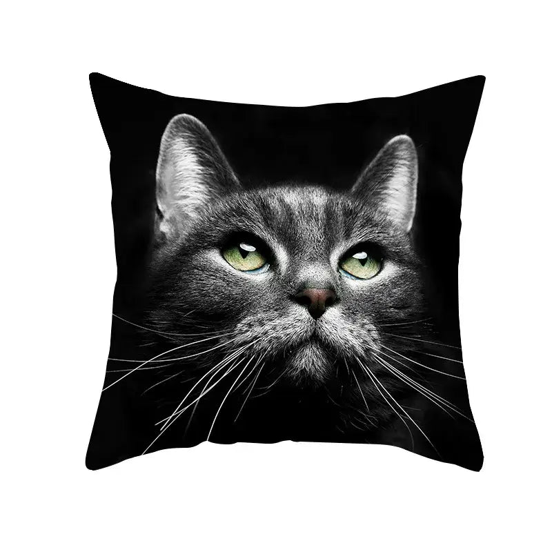 Black Cat Pillowcases Set
