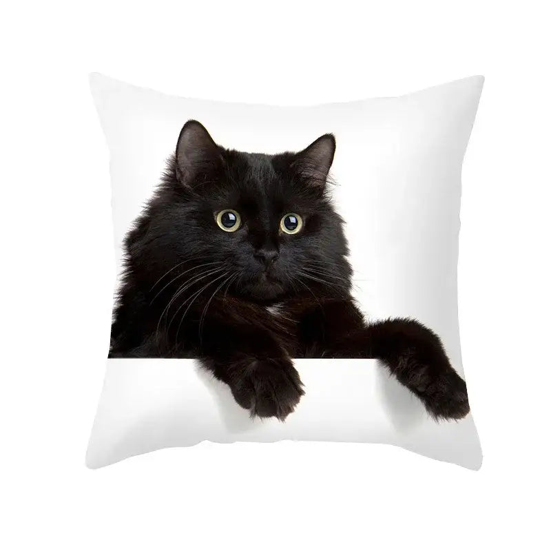 Black Cat Pillowcases Set