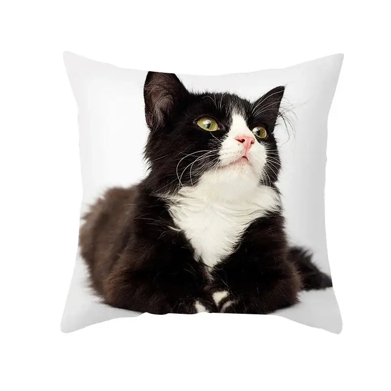 Black Cat Pillowcases Set