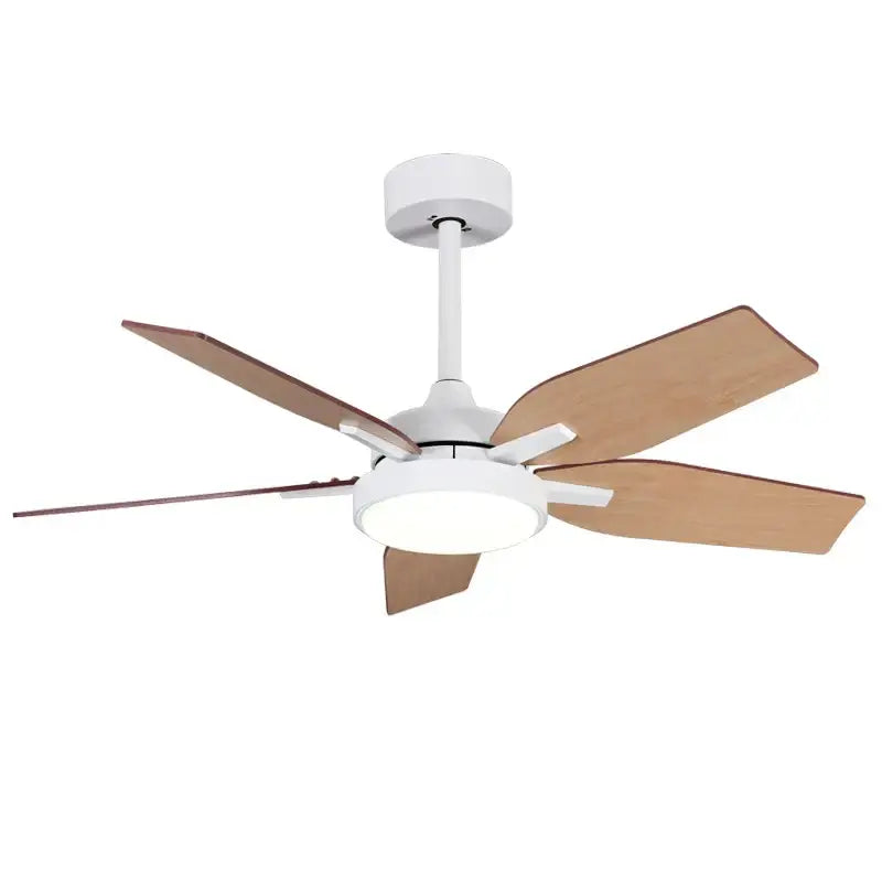 Black Modern Ceiling Fan
