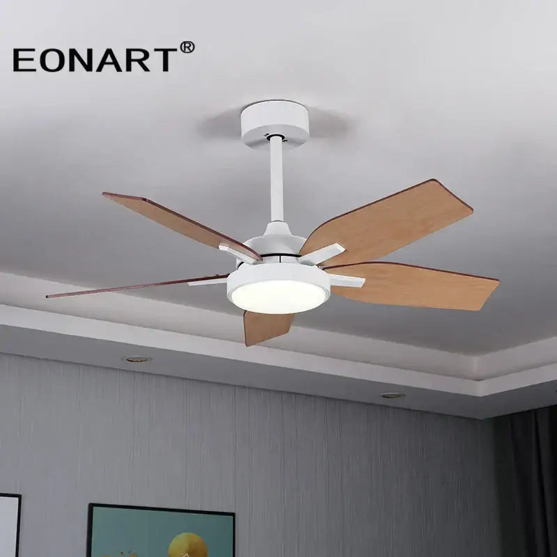 Black Modern Ceiling Fan