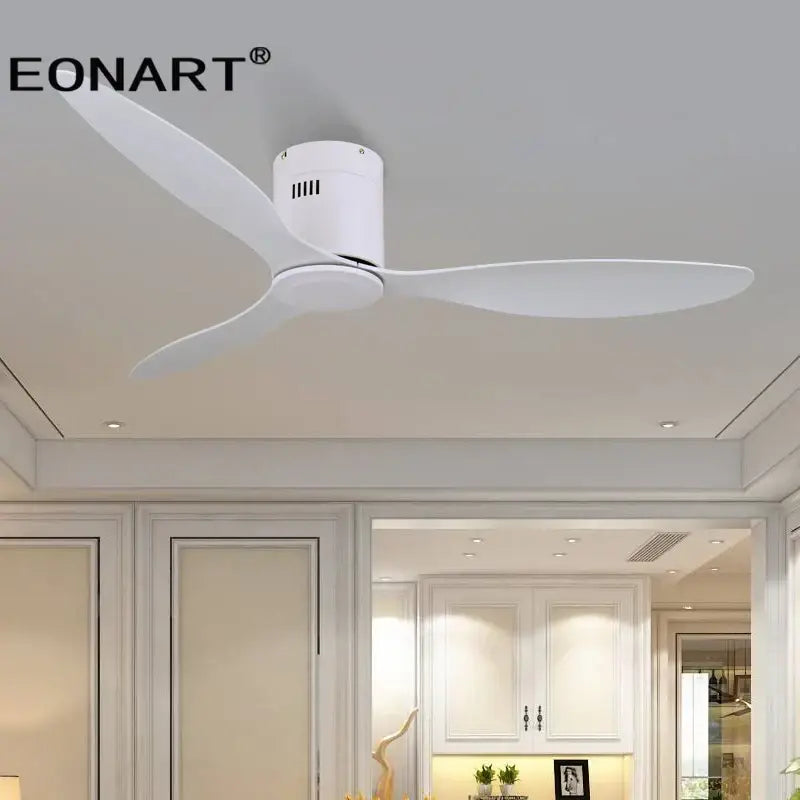 Black DC Ceiling Fan