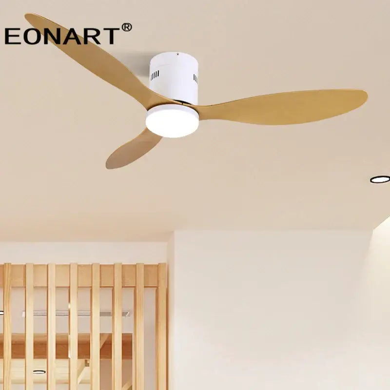 Black DC Ceiling Fan