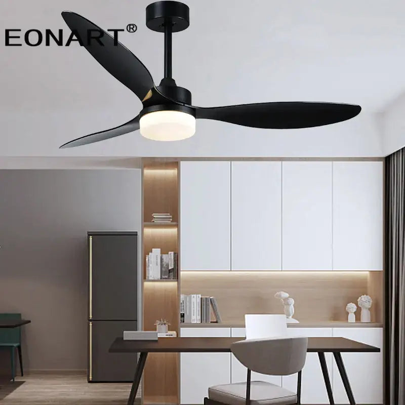 Black Plastic Ceiling Fan