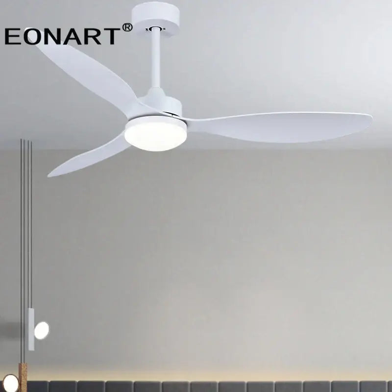 Black Plastic Ceiling Fan
